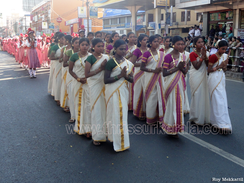 school-kalolsavam (64)
